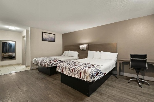 Red Roof Inn Los Angeles - Bellflower image 10